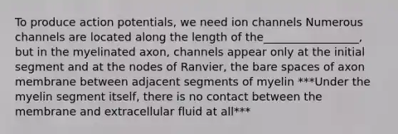 To produce action potentials, we need ion channels Numerous channels are located along the length of the_________________, but in the myelinated axon, channels appear only at the initial segment and at the nodes of Ranvier, the bare spaces of axon membrane between adjacent segments of myelin ***Under the myelin segment itself, there is no contact between the membrane and extracellular fluid at all***