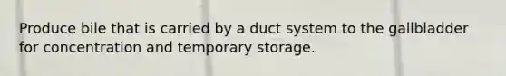 Produce bile that is carried by a duct system to the gallbladder for concentration and temporary storage.