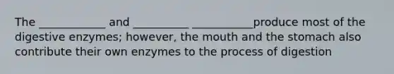 The ____________ and __________ ___________produce most of the digestive enzymes; however, the mouth and the stomach also contribute their own enzymes to the process of digestion