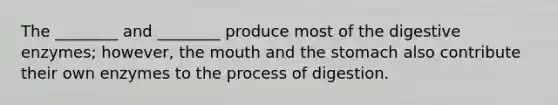 The ________ and ________ produce most of the digestive enzymes; however, the mouth and the stomach also contribute their own enzymes to the process of digestion.