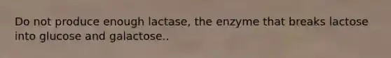 Do not produce enough lactase, the enzyme that breaks lactose into glucose and galactose..
