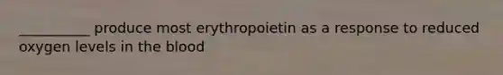 __________ produce most erythropoietin as a response to reduced oxygen levels in the blood