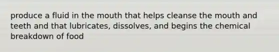 produce a fluid in the mouth that helps cleanse the mouth and teeth and that lubricates, dissolves, and begins the chemical breakdown of food