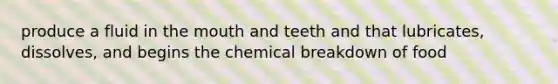 produce a fluid in <a href='https://www.questionai.com/knowledge/krBoWYDU6j-the-mouth' class='anchor-knowledge'>the mouth</a> and teeth and that lubricates, dissolves, and begins the chemical breakdown of food