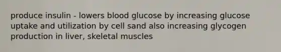 produce insulin - lowers blood glucose by increasing glucose uptake and utilization by cell sand also increasing glycogen production in liver, skeletal muscles