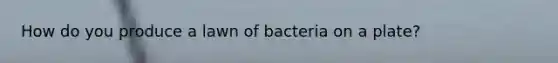 How do you produce a lawn of bacteria on a plate?