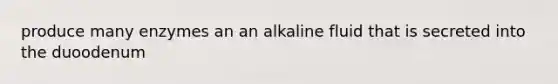 produce many enzymes an an alkaline fluid that is secreted into the duoodenum