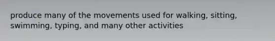 produce many of the movements used for walking, sitting, swimming, typing, and many other activities