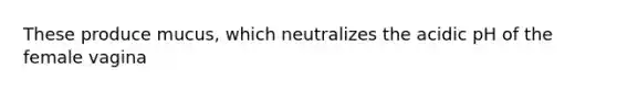 These produce mucus, which neutralizes the acidic pH of the female vagina