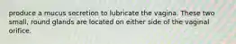 produce a mucus secretion to lubricate the vagina. These two small, round glands are located on either side of the vaginal orifice.