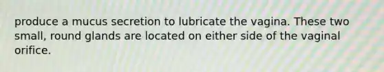 produce a mucus secretion to lubricate the vagina. These two small, round glands are located on either side of the vaginal orifice.