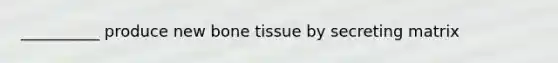 __________ produce new bone tissue by secreting matrix