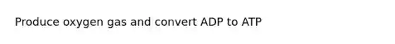 Produce oxygen gas and convert ADP to ATP