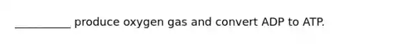 __________ produce oxygen gas and convert ADP to ATP.