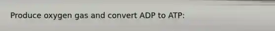 Produce oxygen gas and convert ADP to ATP: