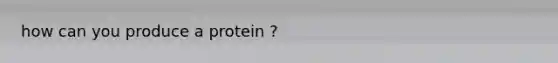how can you produce a protein ?