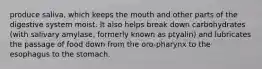 produce saliva, which keeps the mouth and other parts of the digestive system moist. It also helps break down carbohydrates (with salivary amylase, formerly known as ptyalin) and lubricates the passage of food down from the oro-pharynx to the esophagus to the stomach.