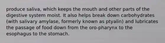 produce saliva, which keeps the mouth and other parts of the digestive system moist. It also helps break down carbohydrates (with salivary amylase, formerly known as ptyalin) and lubricates the passage of food down from the oro-pharynx to the esophagus to the stomach.