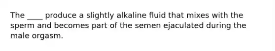 The ____ produce a slightly alkaline fluid that mixes with the sperm and becomes part of the semen ejaculated during the male orgasm.