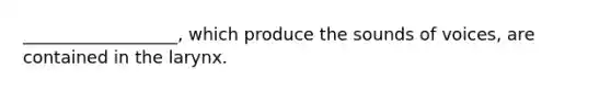 __________________, which produce the sounds of voices, are contained in the larynx.