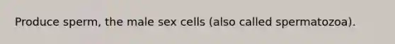 Produce sperm, the male sex cells (also called spermatozoa).