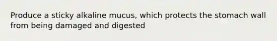 Produce a sticky alkaline mucus, which protects <a href='https://www.questionai.com/knowledge/kLccSGjkt8-the-stomach' class='anchor-knowledge'>the stomach</a> wall from being damaged and digested