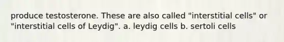 produce testosterone. These are also called "interstitial cells" or "interstitial cells of Leydig". a. leydig cells b. sertoli cells