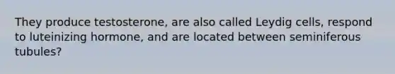 They produce testosterone, are also called Leydig cells, respond to luteinizing hormone, and are located between seminiferous tubules?