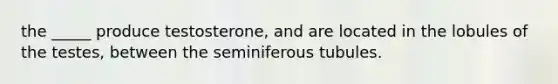 the _____ produce testosterone, and are located in the lobules of the testes, between the seminiferous tubules.