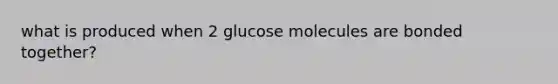 what is produced when 2 glucose molecules are bonded together?