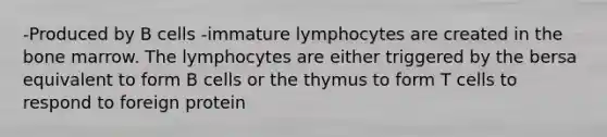 -Produced by B cells -immature lymphocytes are created in the bone marrow. The lymphocytes are either triggered by the bersa equivalent to form B cells or the thymus to form T cells to respond to foreign protein