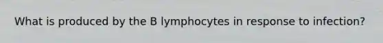 What is produced by the B lymphocytes in response to infection?