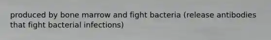 produced by bone marrow and fight bacteria (release antibodies that fight bacterial infections)