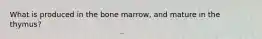 What is produced in the bone marrow, and mature in the thymus?