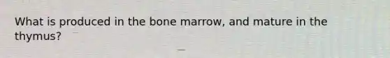 What is produced in the bone marrow, and mature in the thymus?