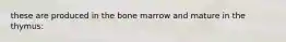 these are produced in the bone marrow and mature in the thymus: