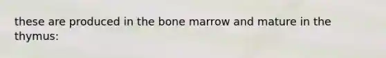 these are produced in the bone marrow and mature in the thymus: