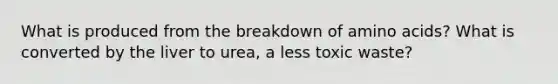 What is produced from the breakdown of amino acids? What is converted by the liver to urea, a less toxic waste?