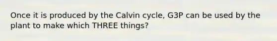 Once it is produced by the Calvin cycle, G3P can be used by the plant to make which THREE things?