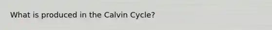 What is produced in the Calvin Cycle?