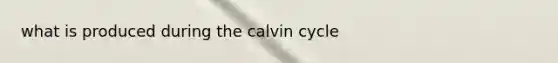 what is produced during the calvin cycle