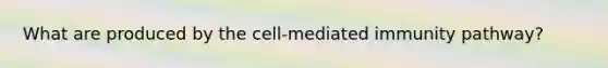 What are produced by the cell-mediated immunity pathway?