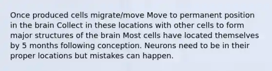 Once produced cells migrate/move Move to permanent position in the brain Collect in these locations with other cells to form major structures of the brain Most cells have located themselves by 5 months following conception. Neurons need to be in their proper locations but mistakes can happen.