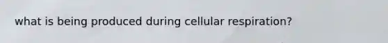 what is being produced during cellular respiration?