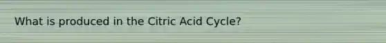 What is produced in the Citric Acid Cycle?