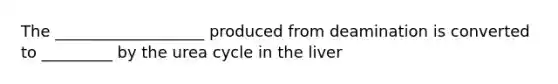 The ___________________ produced from deamination is converted to _________ by the urea cycle in the liver