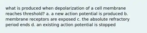 what is produced when depolarization of a cell membrane reaches threshold? a. a new action potential is produced b. membrane receptors are exposed c. the absolute refractory period ends d. an existing action potential is stopped