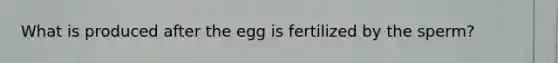 What is produced after the egg is fertilized by the sperm?