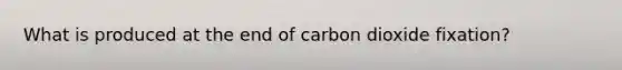 What is produced at the end of carbon dioxide fixation?