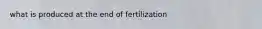 what is produced at the end of fertilization